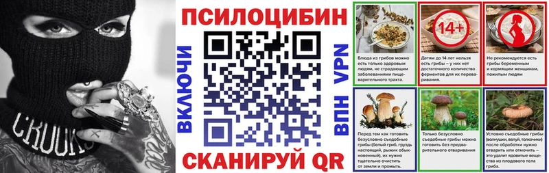 как найти закладки  Новоржев  Галлюциногенные грибы Cubensis 
