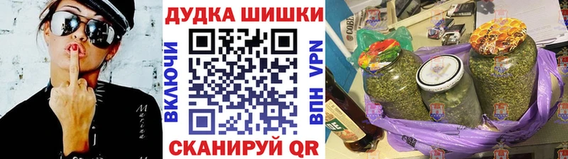 Марихуана план  закладка  Новоржев 